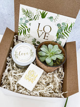 Load image into Gallery viewer, Bridesmaid Succulent Box
